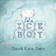 Go to record Ice boy