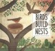 Go to record Birds build nests