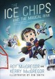 Go to record The ice chips and the magical rink