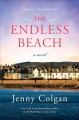Go to record The endless beach