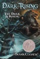 Go to record The dark is rising