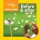 Go to record Before & after