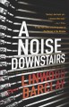 Go to record A noise downstairs : a novel