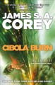 Go to record Cibola burn