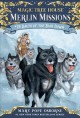 Go to record Balto of the Blue Dawn