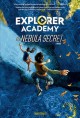 Go to record The nebula secret : a novel