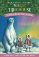 Go to record Polar bears past bedtime