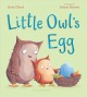 Go to record Little Owl's egg