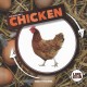 Go to record Life cycle of a chicken