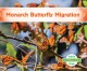 Go to record Monarch butterfly migration