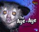 Go to record The aye-aye