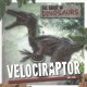 Go to record Velociraptor