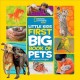 Go to record Little kids first big book of pets