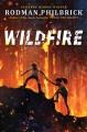 Go to record Wildfire : a novel