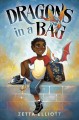 Go to record Dragons in a bag