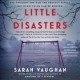 Go to record Little disasters a novel