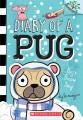 Go to record Pug's snow day