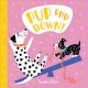 Go to record Pup and down!