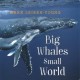 Go to record Big whales small world