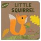 Go to record Little squirrel