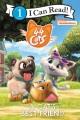 Go to record A cat's best friend