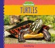 Go to record Turtles