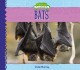 Go to record Bats