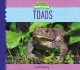 Go to record Toads