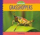 Go to record Grasshoppers