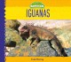Go to record Iguanas