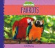 Go to record Parrots