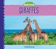 Go to record Giraffes