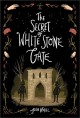 Go to record The secret of White Stone Gate