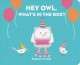 Go to record Hey owl, what's in the box?
