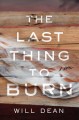 Go to record The last thing to burn : a novel
