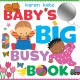 Go to record Baby's big busy book