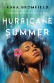 Go to record Hurricane summer