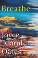 Go to record Breathe : a novel