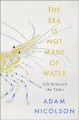 Go to record The sea is not made of water : life between the tides