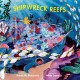 Go to record Shipwreck reefs