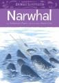 Go to record Narwhal
