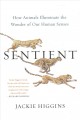 Go to record Sentient : how animals illuminate the wonder of our human ...