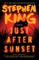 Go to record Just after sunset : stories