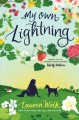 Go to record My own lightning