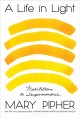 Go to record A life in light : meditations on impermanence