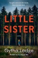 Go to record Little sister : a novel