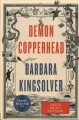Go to record Demon Copperhead a novel