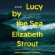 Go to record Lucy by the sea a novel