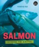 Go to record Salmon : swimming for survival