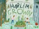 Go to record Harlem grown : how one big idea transformed a neighborhood